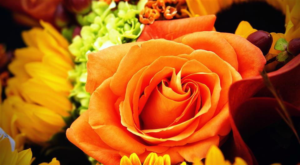 Same Day Bouquets