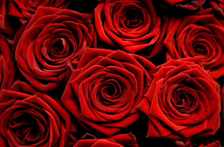 Valentines Day Flowers