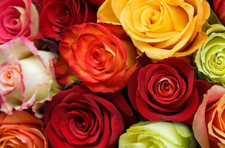 Valentines Day Flowers